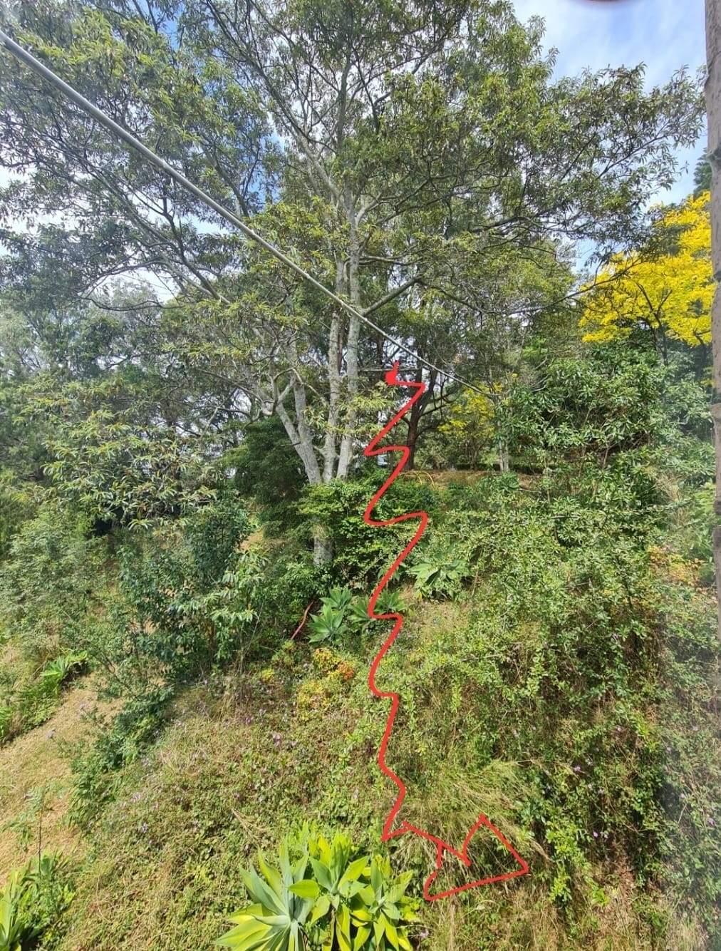 Point-to-point wireless signal path through dense vegetation and steep terrain