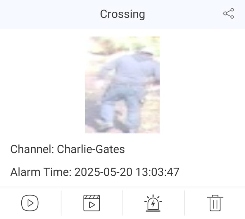 TVT AI human line crossing notification at a Blue Mountains property