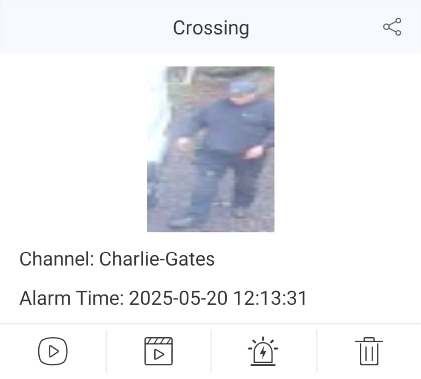 Second TVT AI human line crossing notification at a Blue Mountains property